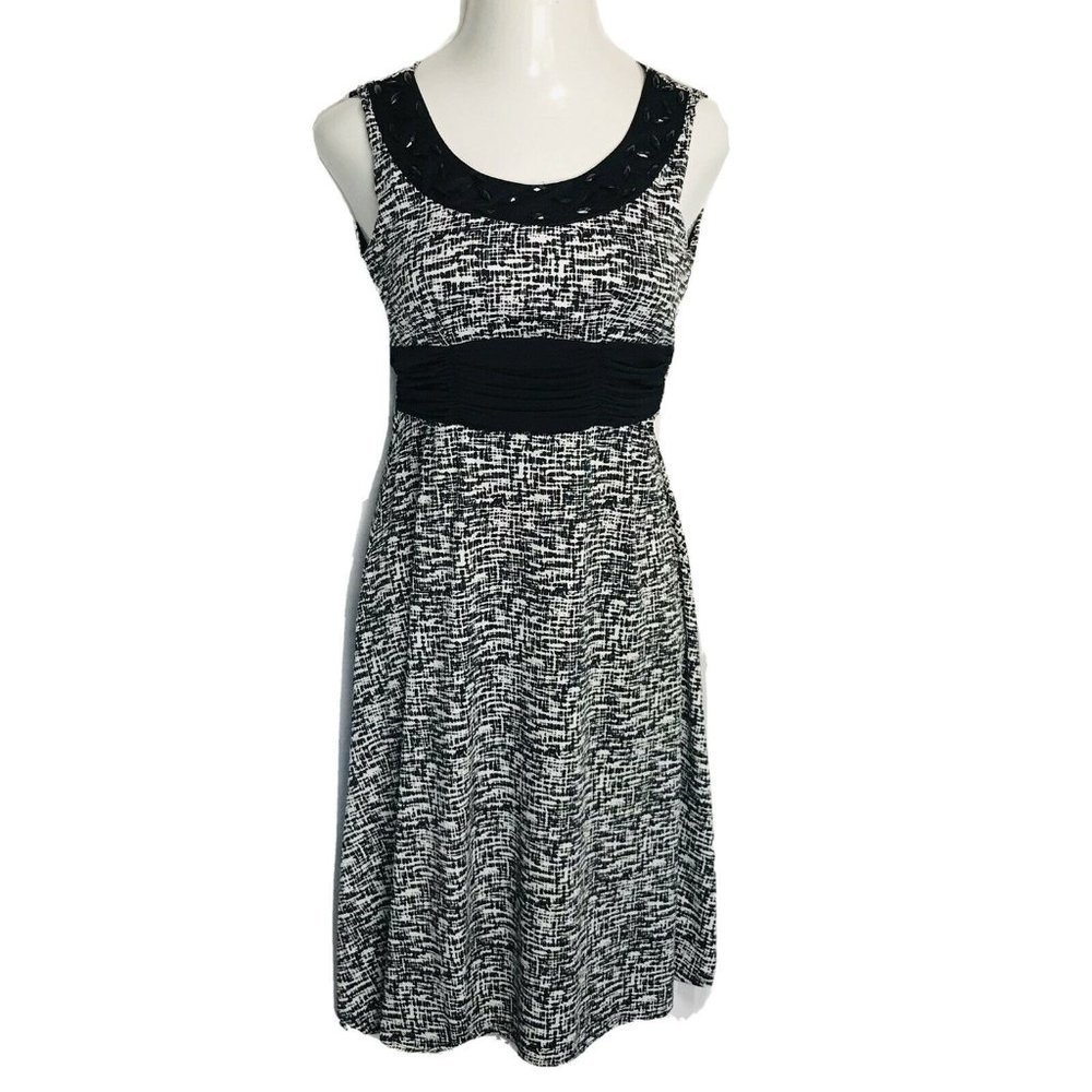 True Envy Women's Dress ~ Sz 4P ~ Below Knee